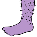 Foot_1