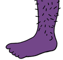 Foot_2