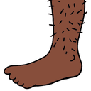 Foot_4