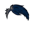 Hair_11